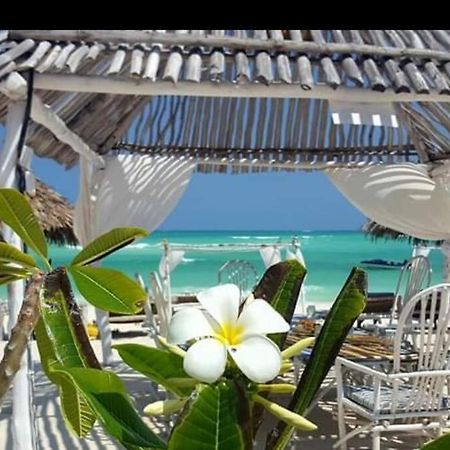 Luxury Simba House In Watamu ☆☆☆☆☆ Apartment Екстериор снимка