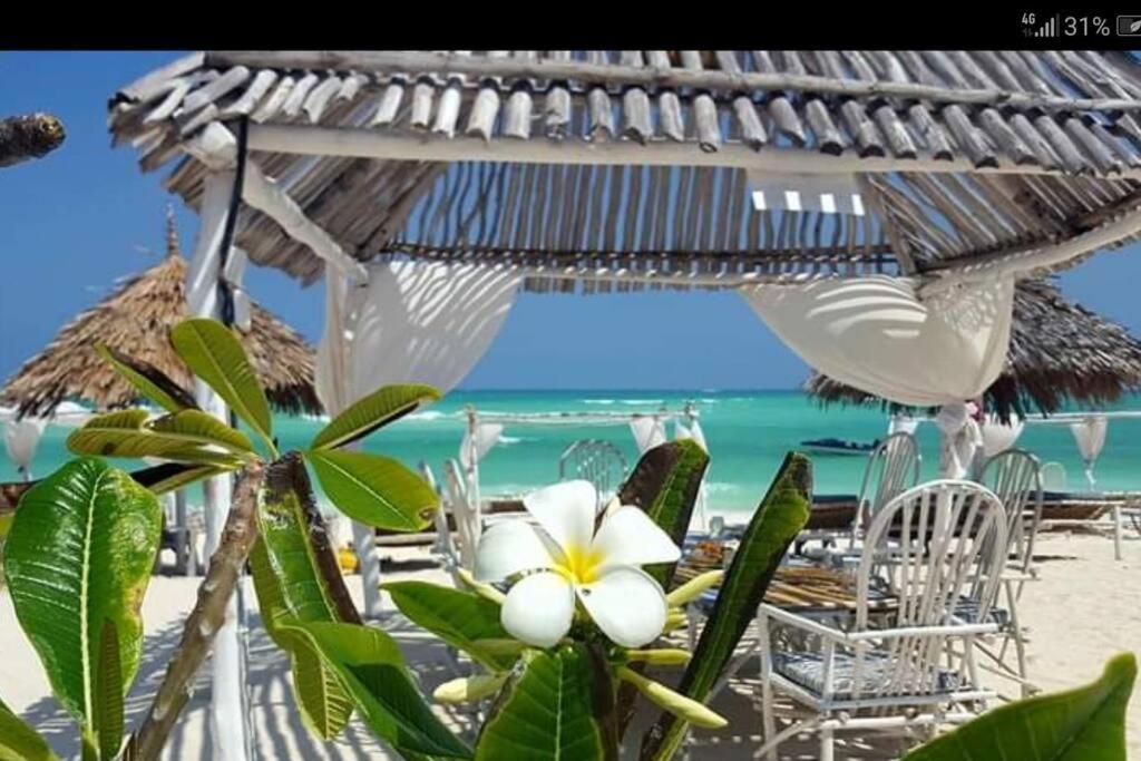 Luxury Simba House In Watamu ☆☆☆☆☆ Apartment Екстериор снимка